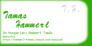 tamas hammerl business card